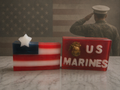US Marines and American Flag