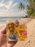 Sea Shell Soap